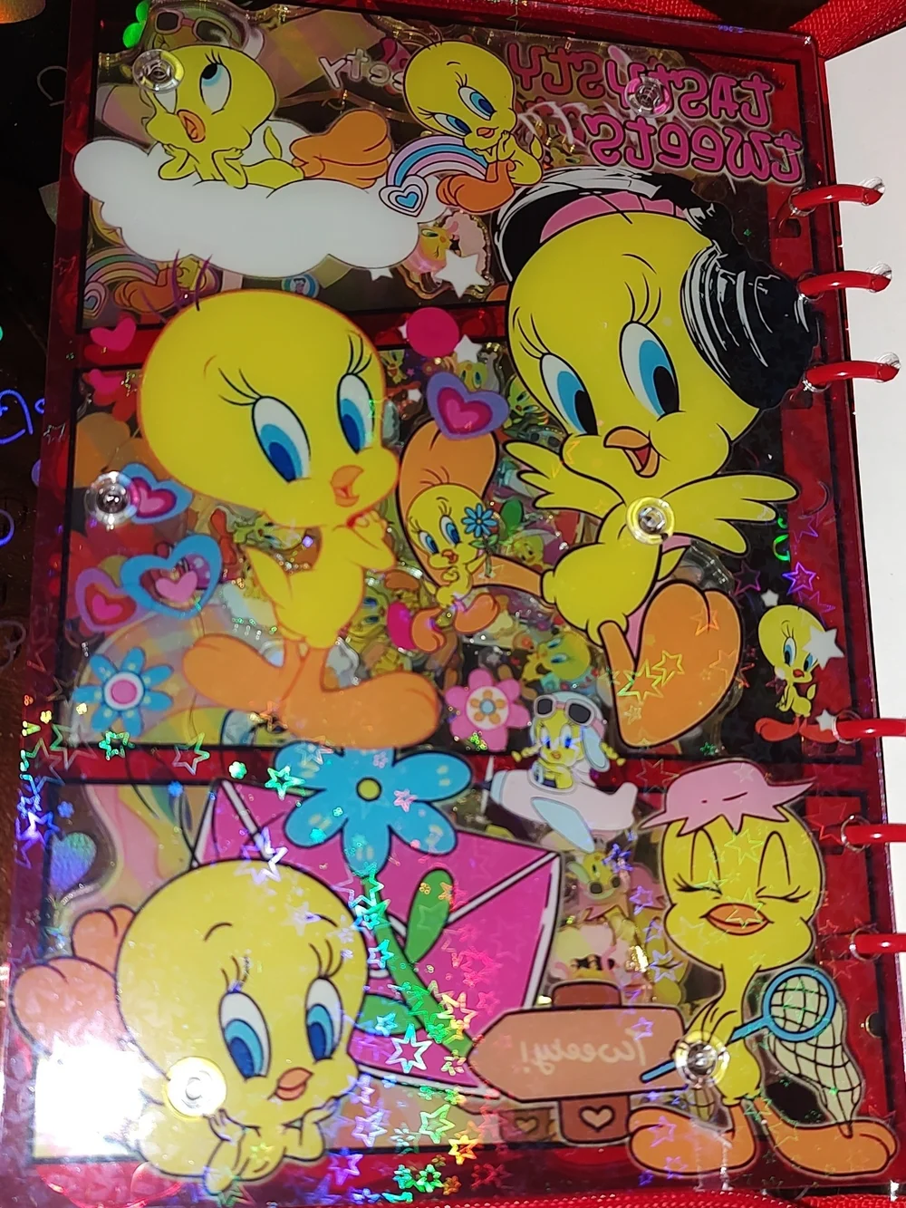 New! A5 Size Tweety Bird Acrylic Shaker Notebook